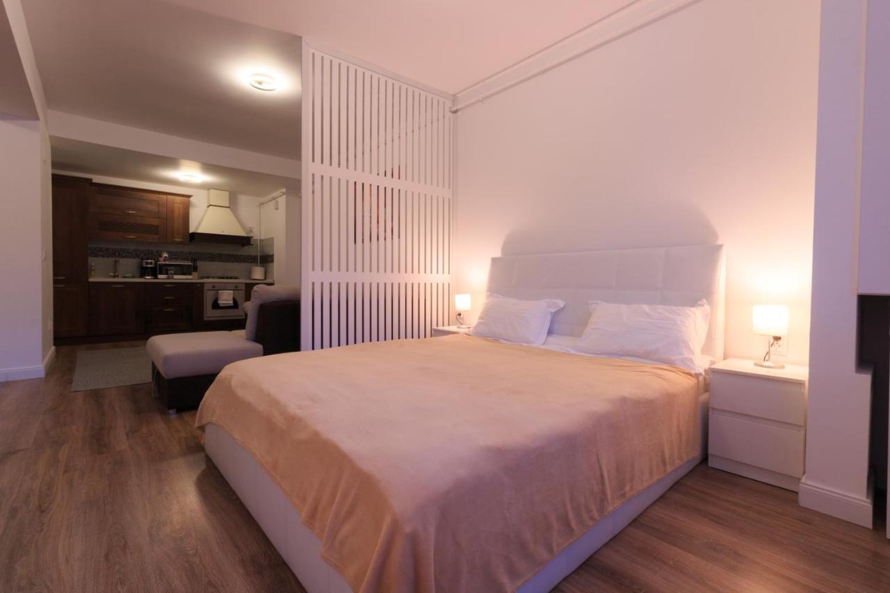 Best View Ap With Parking And 2 Bathrooms Sinaia Exteriér fotografie