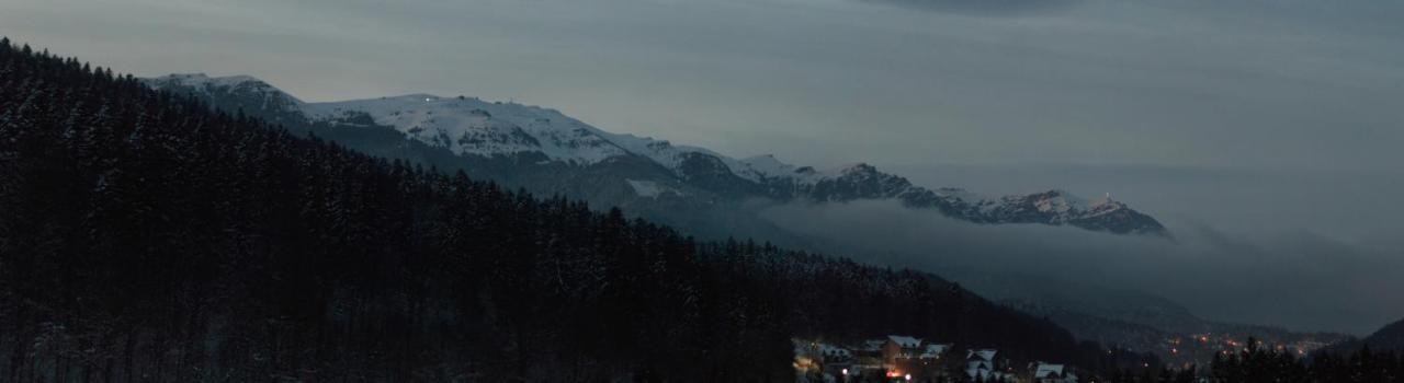 Best View Ap With Parking And 2 Bathrooms Sinaia Exteriér fotografie