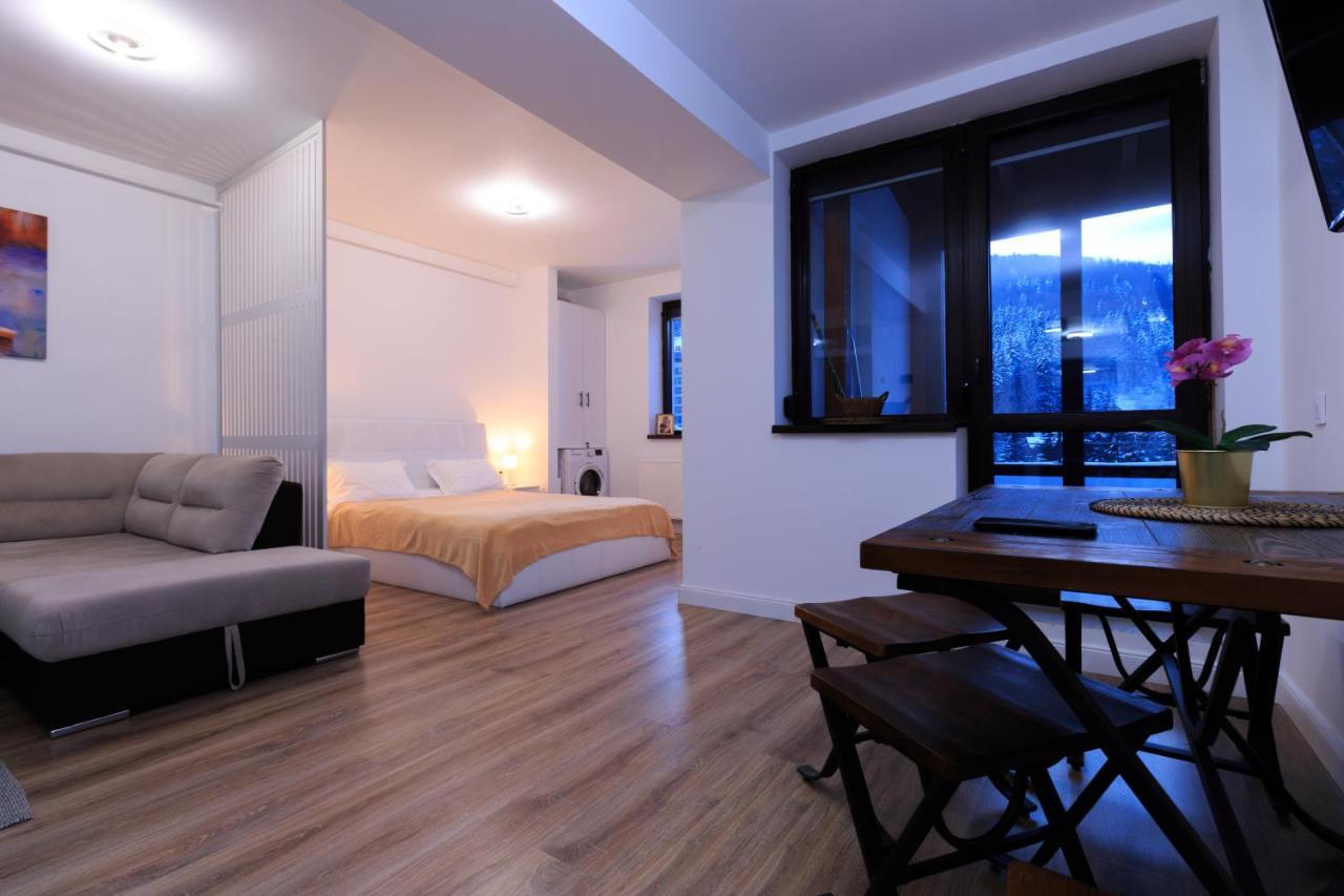 Best View Ap With Parking And 2 Bathrooms Sinaia Exteriér fotografie