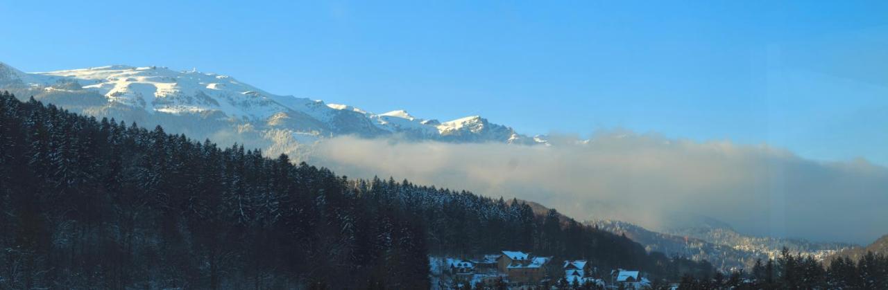 Best View Ap With Parking And 2 Bathrooms Sinaia Exteriér fotografie