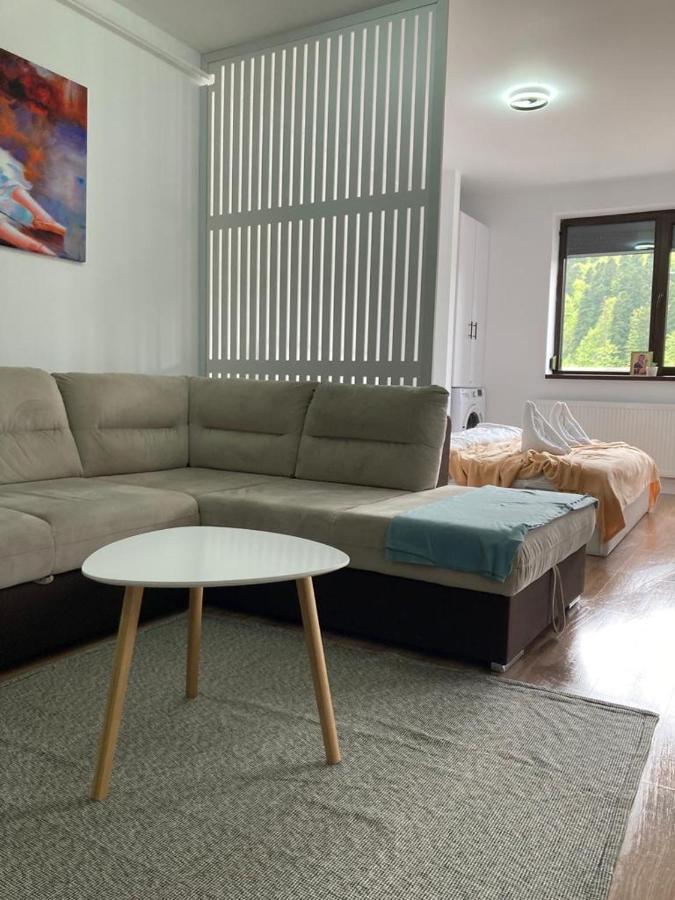 Best View Ap With Parking And 2 Bathrooms Sinaia Exteriér fotografie