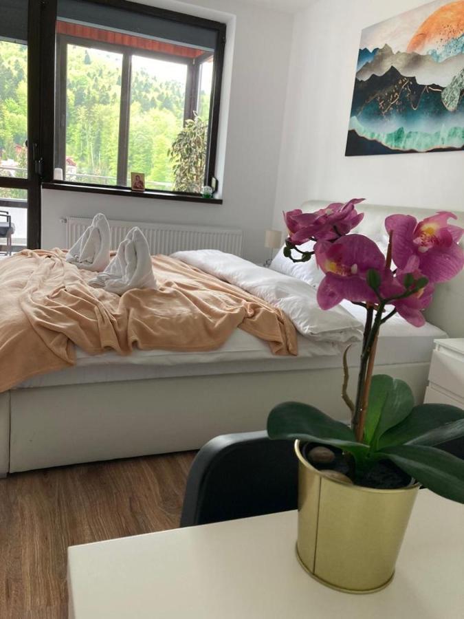 Best View Ap With Parking And 2 Bathrooms Sinaia Exteriér fotografie