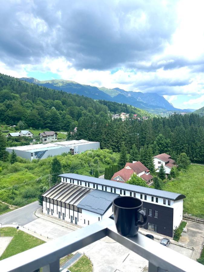 Best View Ap With Parking And 2 Bathrooms Sinaia Exteriér fotografie