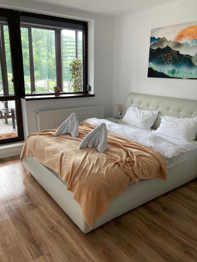 Best View Ap With Parking And 2 Bathrooms Sinaia Exteriér fotografie