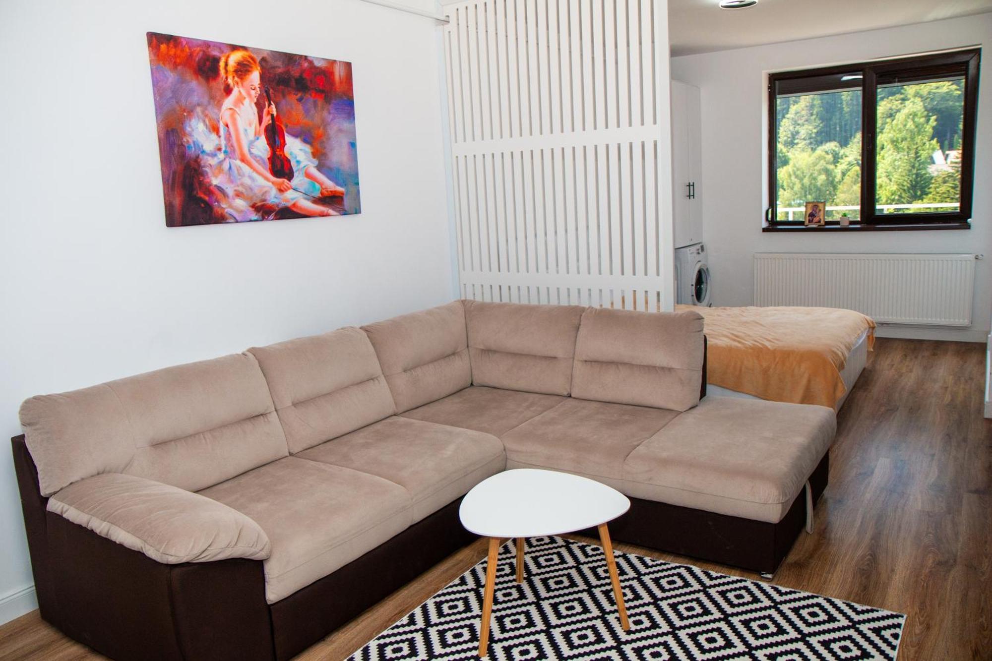 Best View Ap With Parking And 2 Bathrooms Sinaia Exteriér fotografie